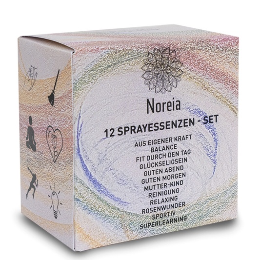 12er Sprayessenzen Set