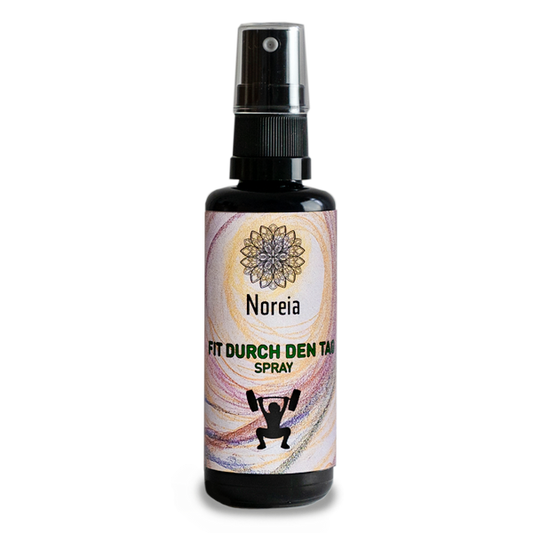 Fit durch den Tag - Spray