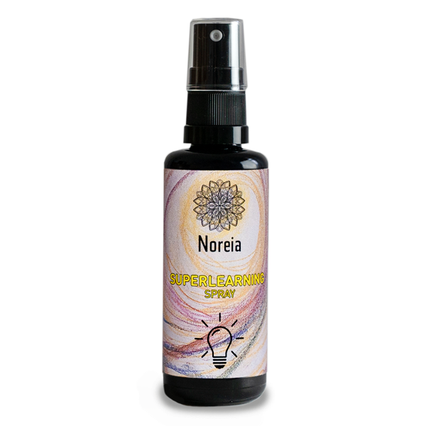 SuperLearning - Spray