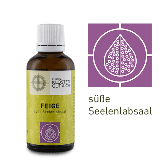 Feigenbaum - Elixier