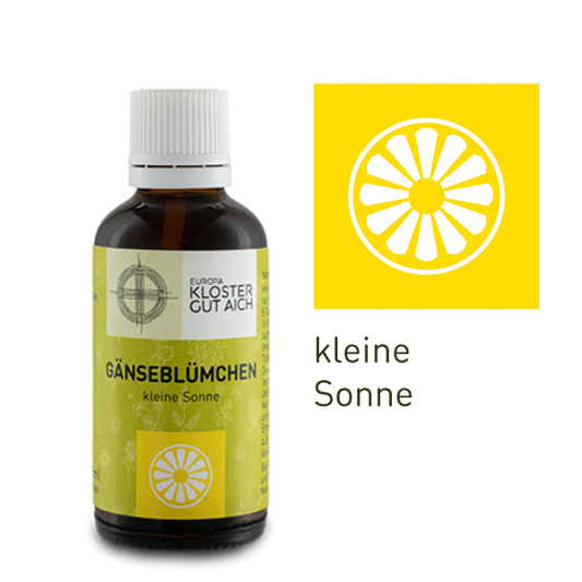 Gänseblümchen Elixier