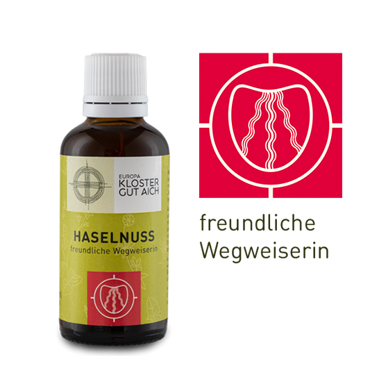 Bio Haselnussbaum - Elixier