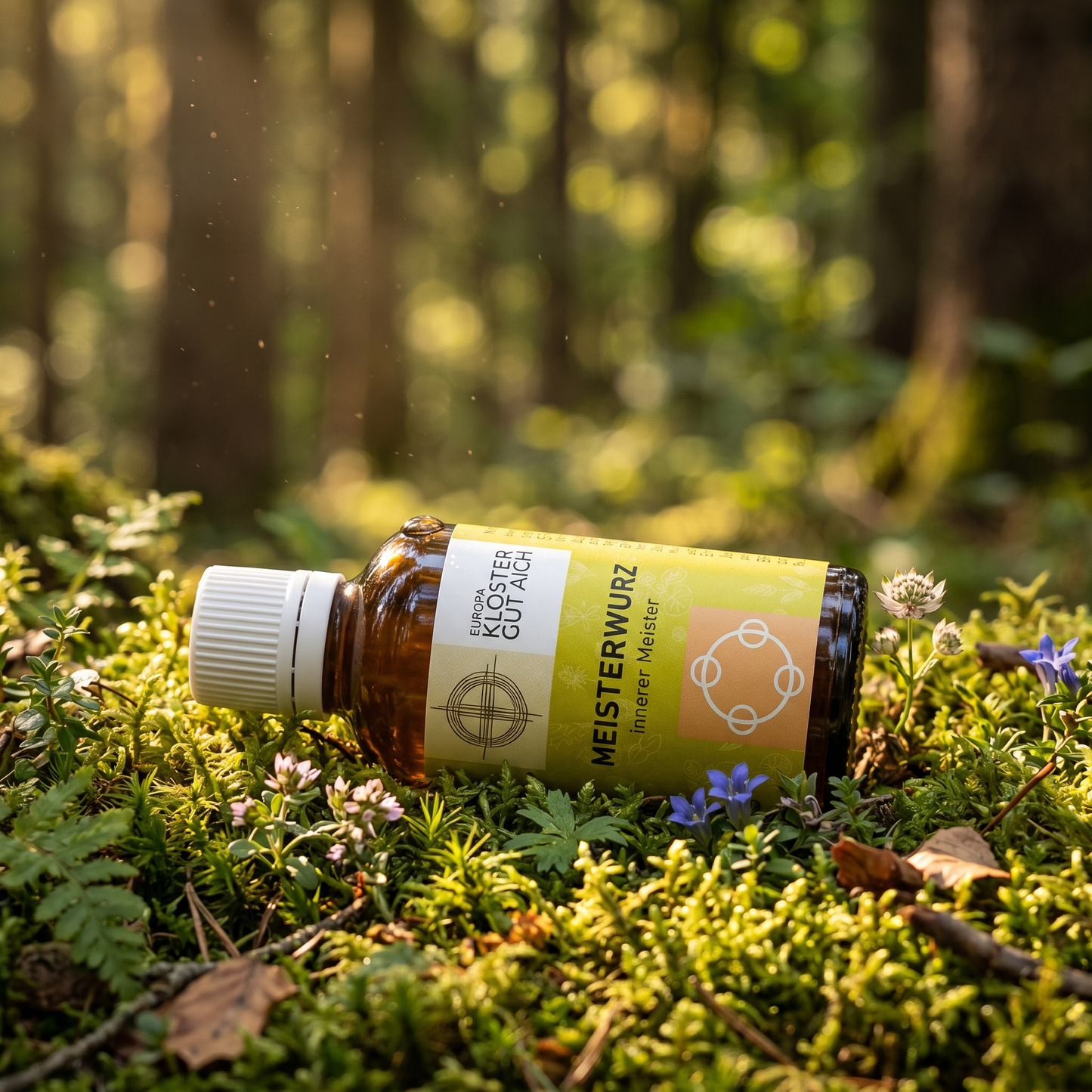 Kräutertinktur mit biologischem Meisterwurz im Wald auf dem Waldboden