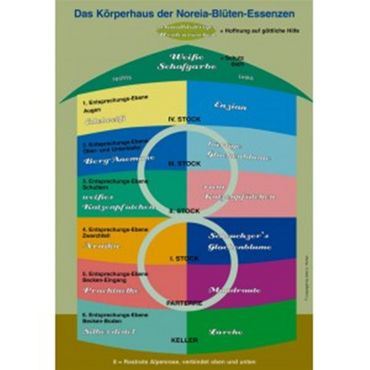 Noreia Plakat Körperhaus