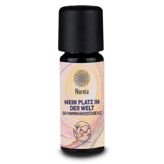 Mein Platz in der Welt